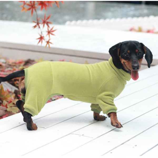 Dog Onesies Cotton Fleece Dachshund Clothes Green