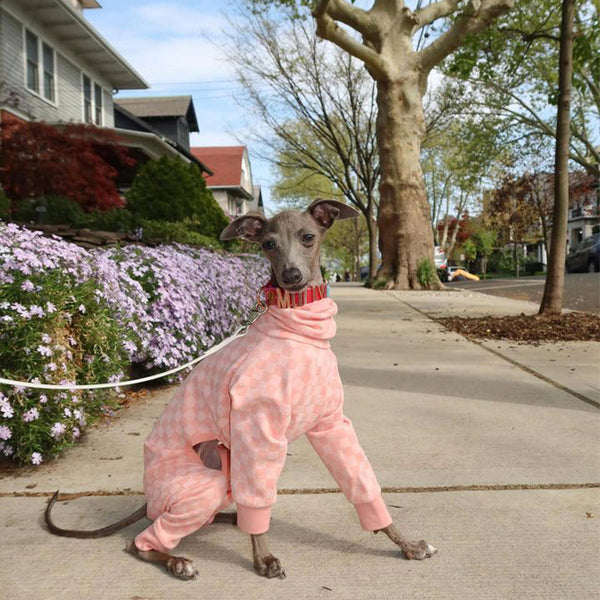 Plaid Onesie for Italian Greyhound Whippet Dog Clothes