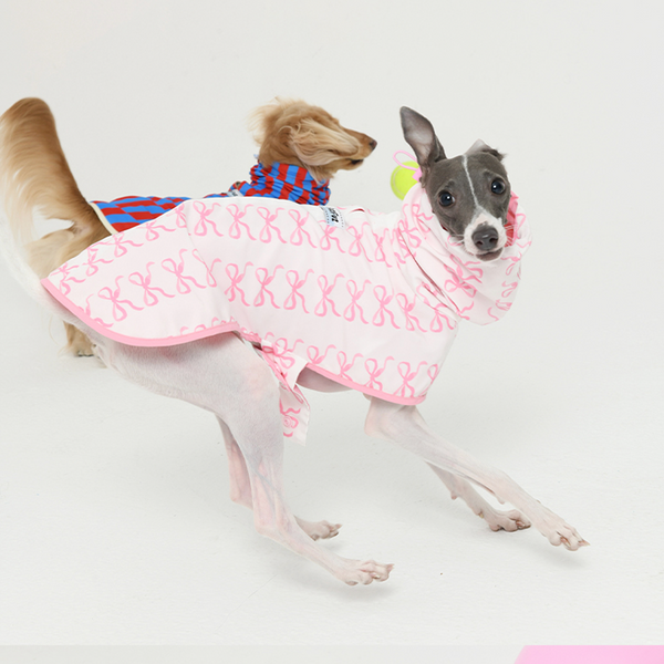 Raincoat Reversible Cape Jacket Dog Clothes Small Dog Italian Greyhound Pink