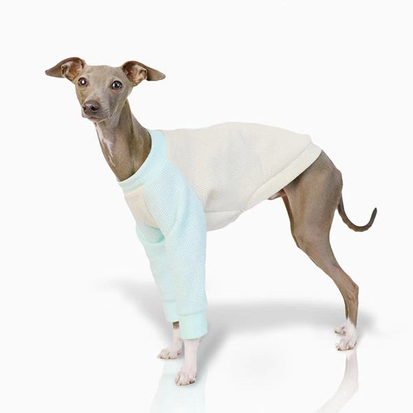 Cotton Soft Shirt Italian Greyhound Whippet Dog Clothes