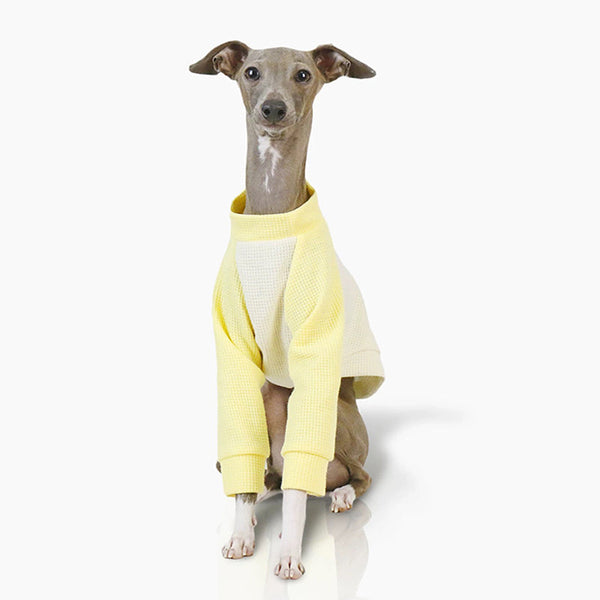 Cotton Soft Shirt Italian Greyhound Whippet Dog Clothes