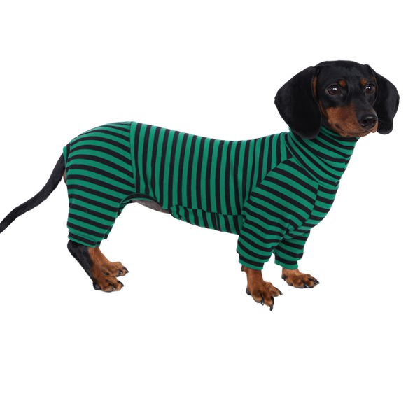 Dog Onesies Stripe Spandex Dachshund Clothes