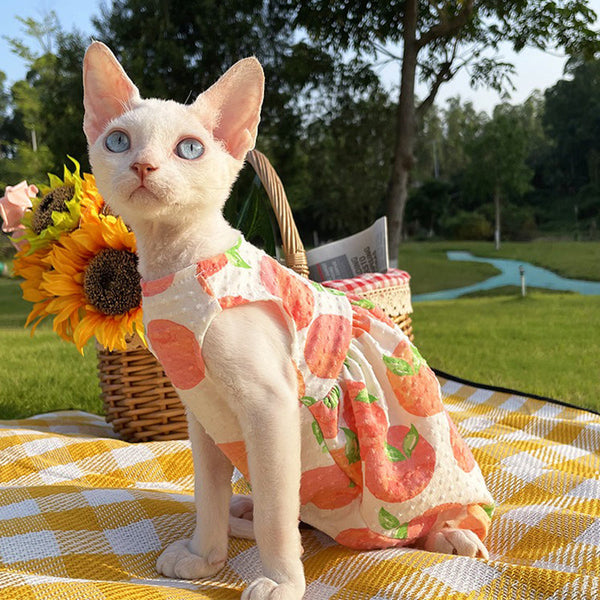 Cute Cat Dress Sphynx Cat Clothes