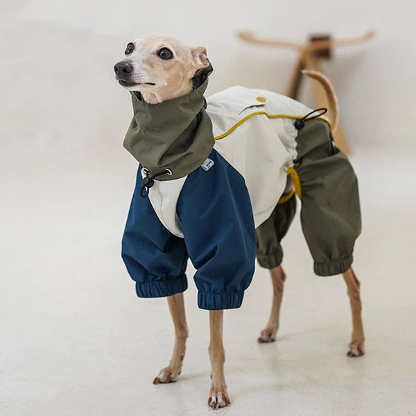 Outdoor Jacket Waterproof Windproof Raincoat Italian Greyhound Whippet Clothes