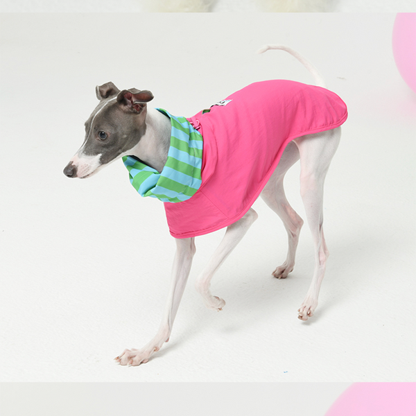 Raincoat Reversible Cape Jacket Dog Clothes Small Dog Italian Greyhound Green+Pink