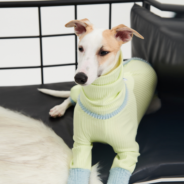 Knit Sweater Dog Onesies Small Dog Italian Greyhound Clothes Green