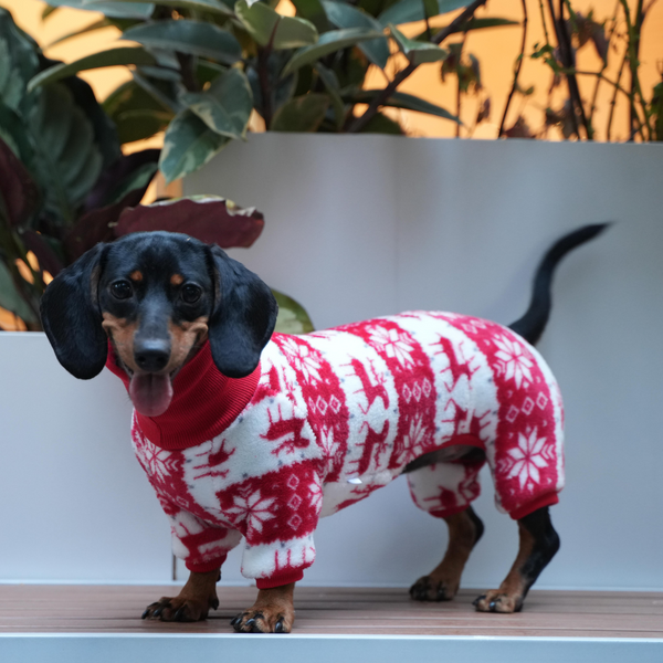 Christmas Dog Onesies Cotton Fleece Dachshund Clothes Costume