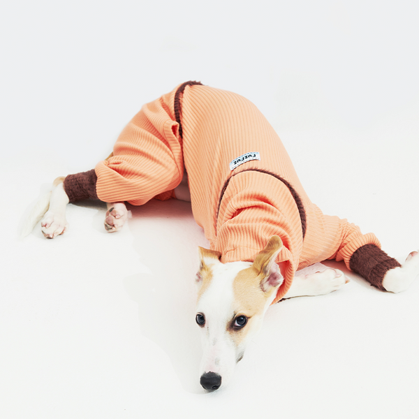 Knit Sweater Dog Onesies Small Dog Italian Greyhound Clothes Orange