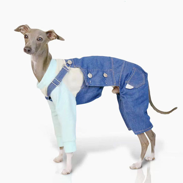 Denim Cotton Pants Italian Greyhound Whippet Dog Clothes