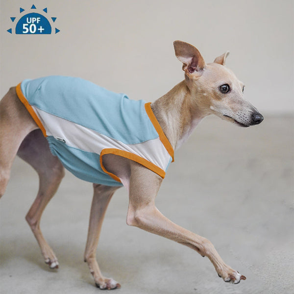 UV Protection Tank Top Shirts Italian Greyhound Whippet Dog Clothes