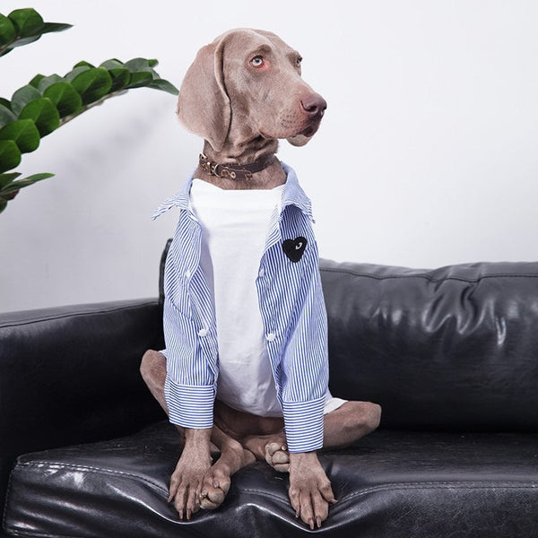 Soft Cotton Breathable Shirt Big Dog Clothes