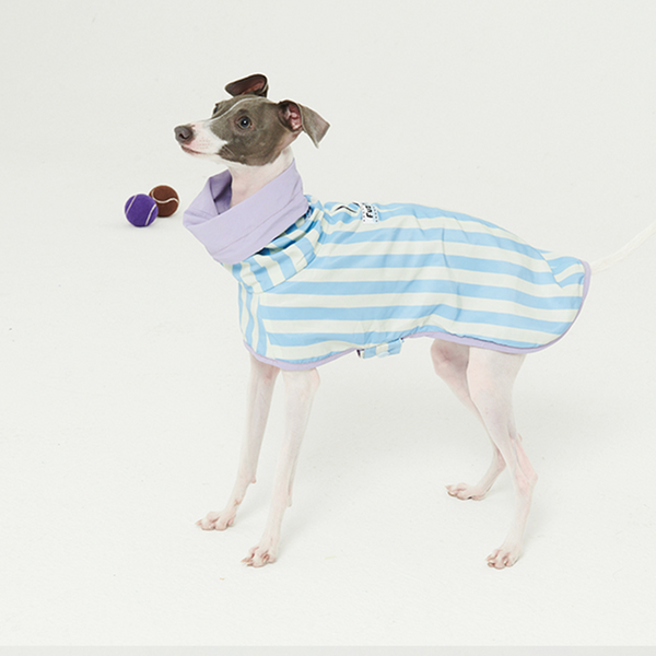 Raincoat Reversible Cape Jacket Dog Clothes Small Dog Italian Greyhound Blue