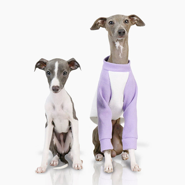 Cotton Soft Shirt Italian Greyhound Whippet Dog Clothes