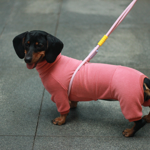 Dog Onesies Cotton Fleece Dachshund Clothes Red