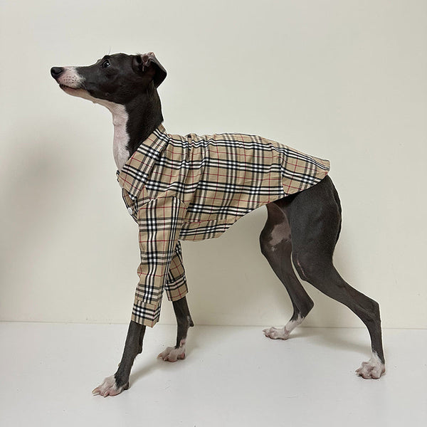 Soft Cotton Shirt for Italian Greyhound Whippet Dog Clothes