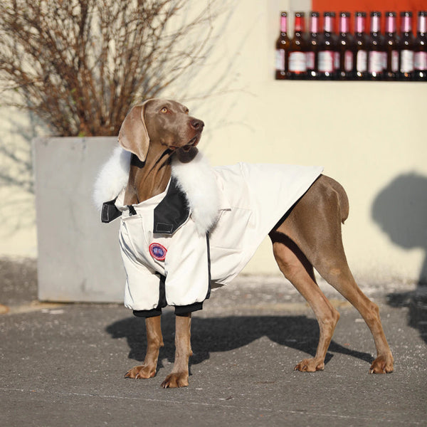 Big Dog Jacket Large Size Dog Clothes Snowsuits with Faux Fur Hat