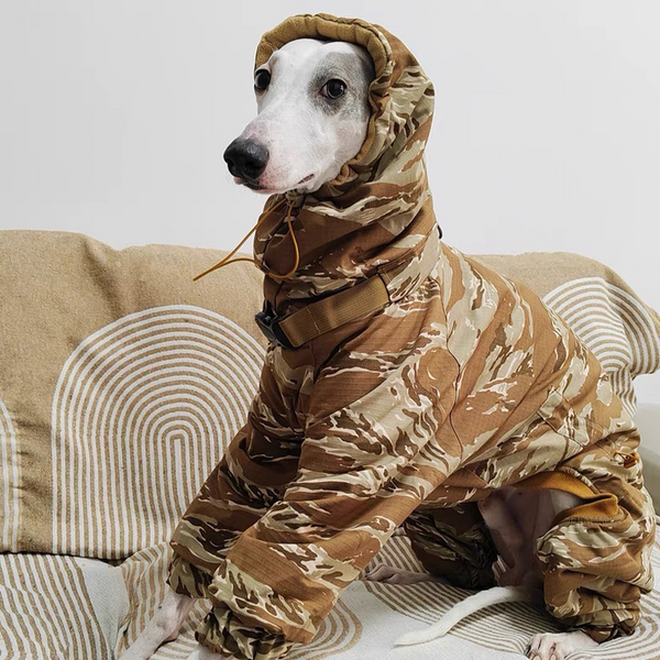 Camouflage Cotton Padded Coat Snowsuits Italian Greyhound Dog Clothes