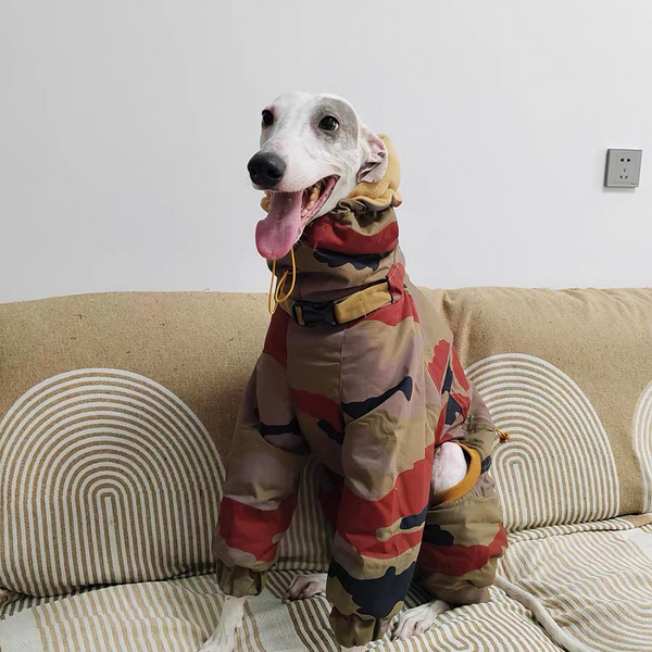 Camouflage Snowsuits Cotton Padded Dog Coat Italian Greyhound Clothes