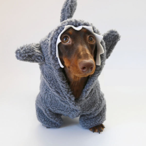 Dachshund Clothes Dog Baby Shark Costume Fleece Hoodie Coat