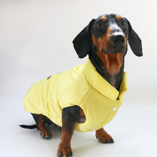 Dachshund Clothes Dog Coat Vest Padding Jacket Button