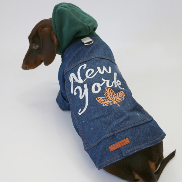 Dachshund Clothes Dog Denim Hoodie Button Jacket New York