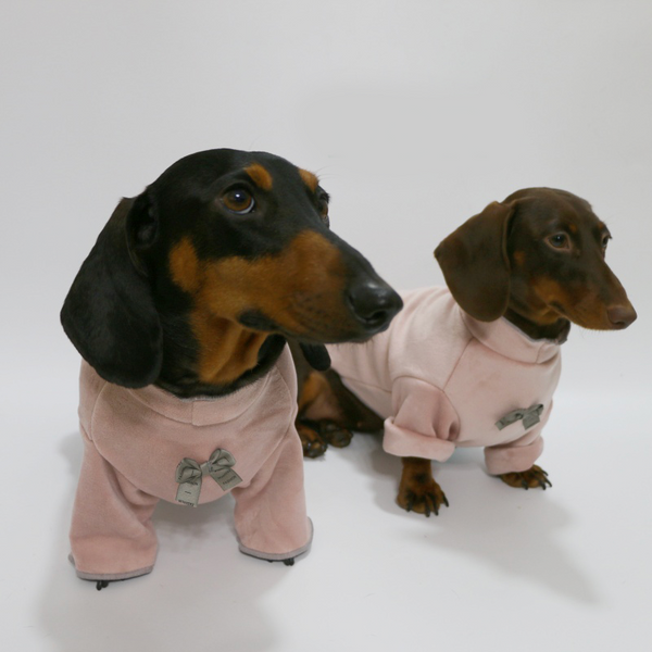 Dachshund Clothes Dog Bowknot Fleece High Neck Sweatshirt Pullover