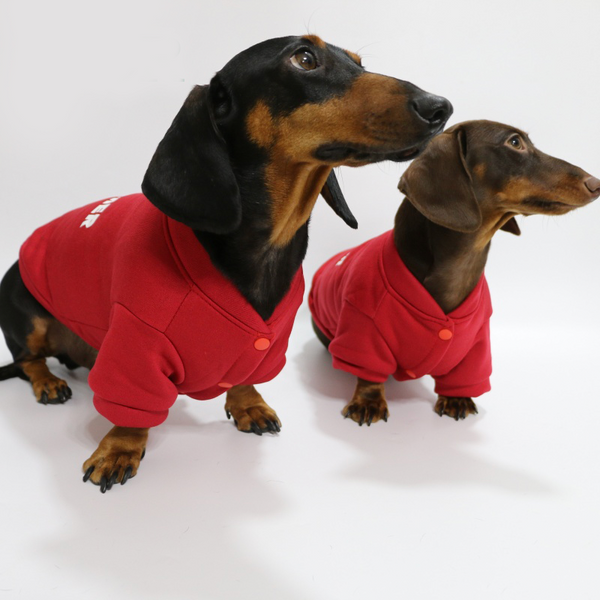 Dachshund Clothes Dog Fleece Sweatshirts Soft Warm Hoodie