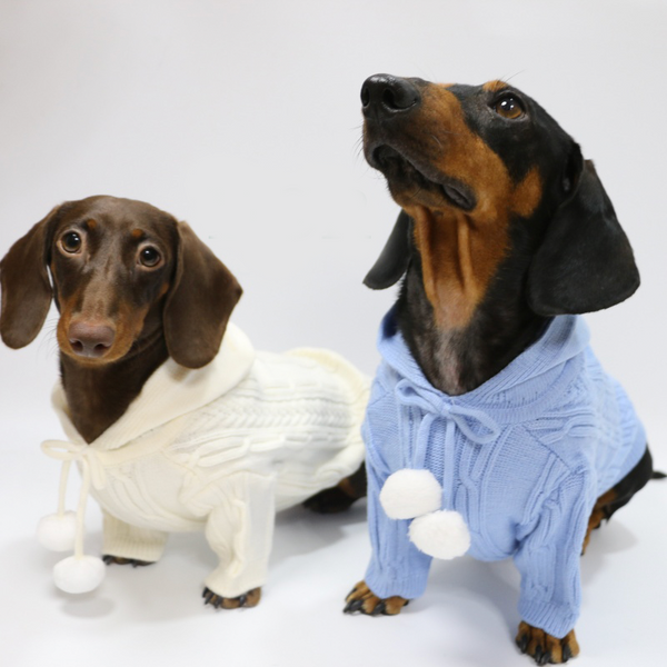 Dachshund Clothes Dog Hoodie Cable Knit Sweater