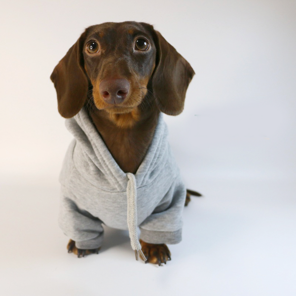 Dachshund Clothes Dog Hoodie Casual Sporty Style