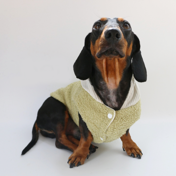 Dachshund Clothes Dog Hoodie Fleece Button Jacket Green