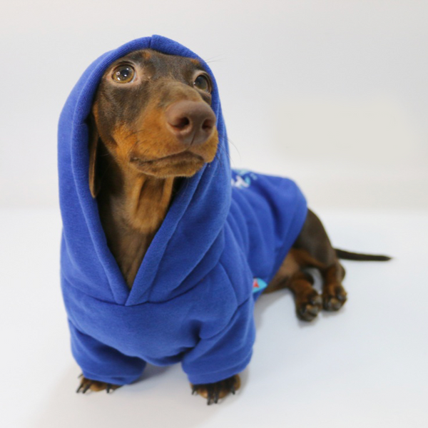 Dachshund Clothes Dog Hoodie Fleece Lining Warm