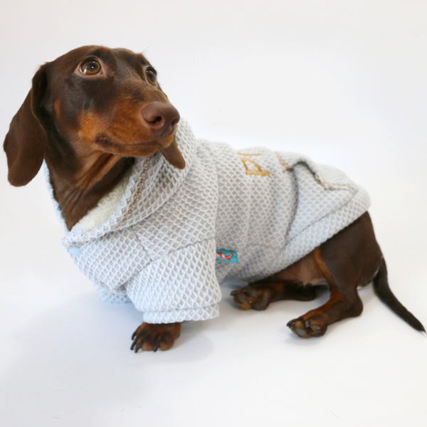 Dachshund Clothes Dog Hoodie Waffle Fabric with D-Ring