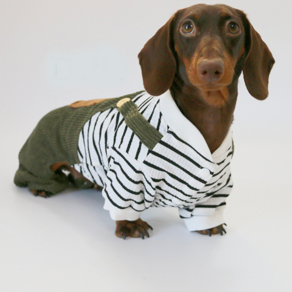 Dachshund Clothes Dog Onesies Two-in-one Overalls