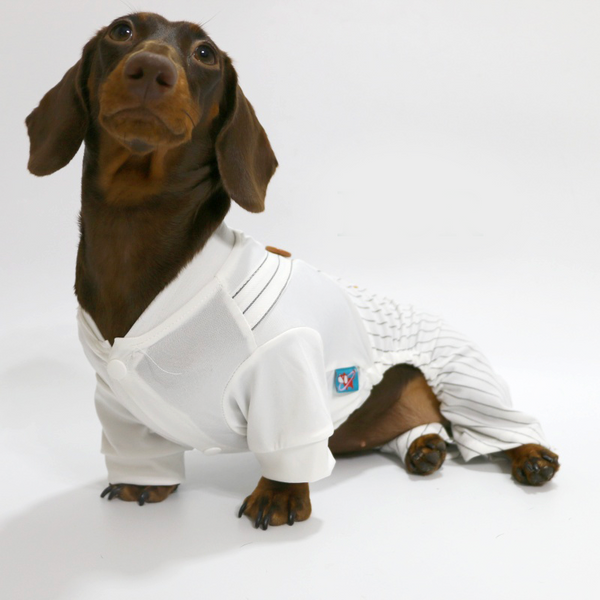 Dachshund Clothes Dog Onesies Two-in-one Overalls Breakfast