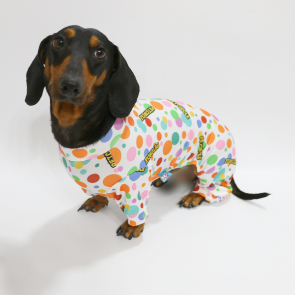 Dachshund Clothes Dog Pajamas 4Legs Onesies Polka Dots Soft Sleep Wear