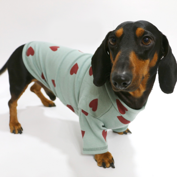 Dachshund Clothes Dog Shirt Soft Knit Wear Love Heart