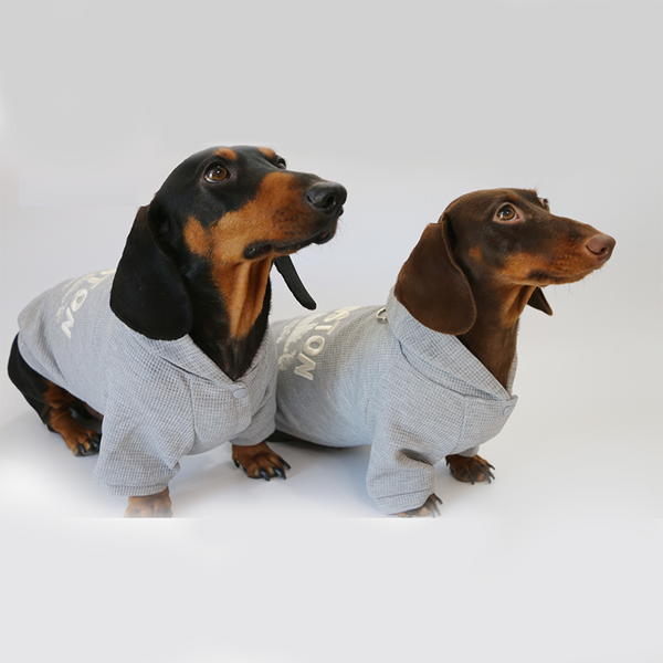 Dachshund Clothes Dog Spring Casual Hoodie Button Jacket