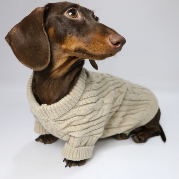 Dachshund Clothes Dog Sweater Cable Knit Wear