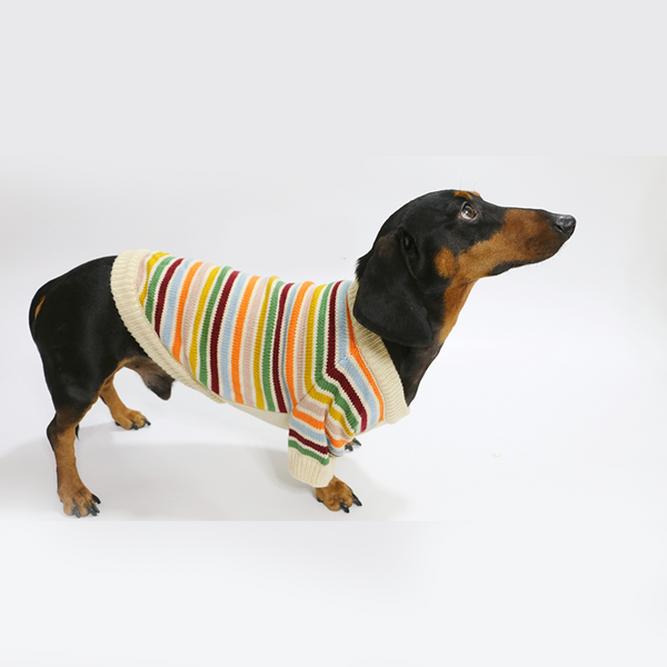 Dachshund Clothes Dog Sweater Orange White Striped Knit Wear