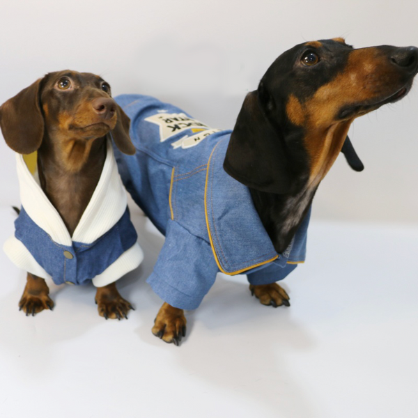 Dachshund Dog Clothes Denim Hoodie Jacket Button Shirt Coat