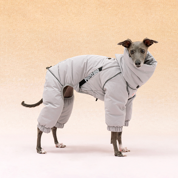 Dog Coat Down Padded Jacket 4Legs Snowsuits for Italian Greyhound Whippet