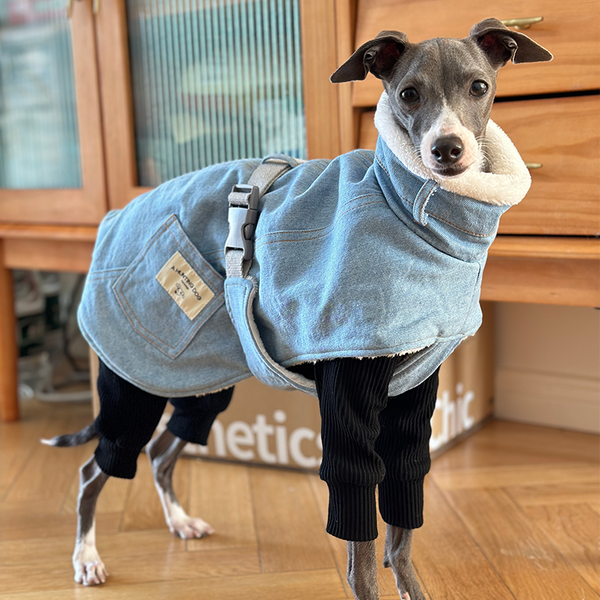 Dog Jacket Denim Coat Fleece Lining for Italian Greyhound Whippet Clothes