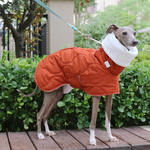 Dog Jacket Padded Coat Belly Protective for Italian Greyhound Whippet Clothes