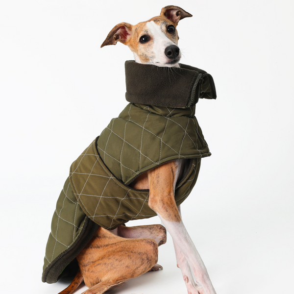 Dog Jacket Padded Quilting Coat for Italian Greyhound Whippet Clothes