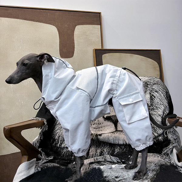 Dog Jacket Ski Wear Snowsuits for Big Dog Italian Greyhound Whippet Clothes