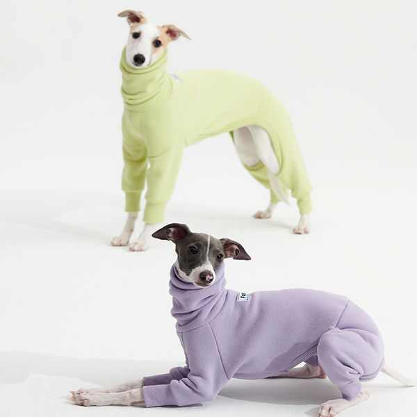 Dog Onesies Fleece Italian Greyhound Clothes Turtleneck Green