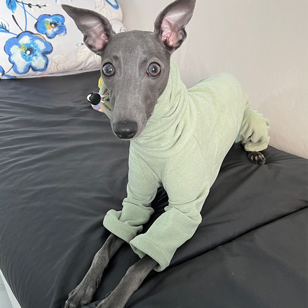 Dog Onesies Fleece Jumpsuits Pajamas for Italian Greyhound Whippet Clothes