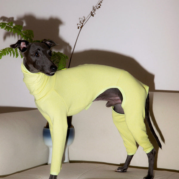 Dog Onesies Knit Elastic Soft Underwear for Italian Greyhound Whippet Clothes