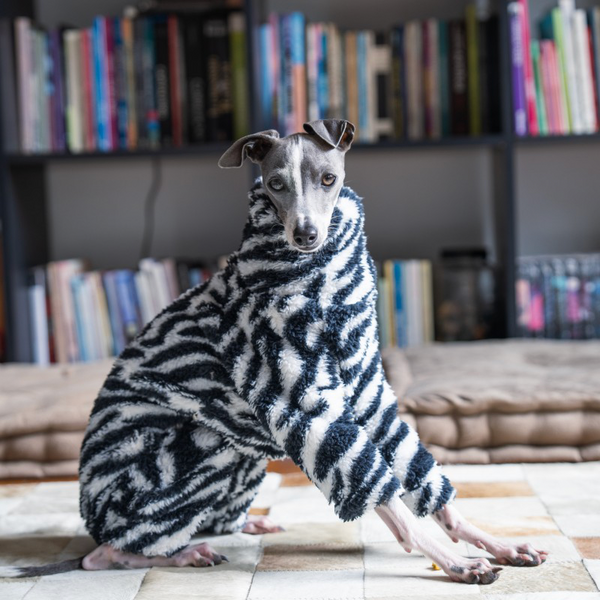 Dog Onesies Zebra Pattern for Italian Greyhound Whippet Clothes