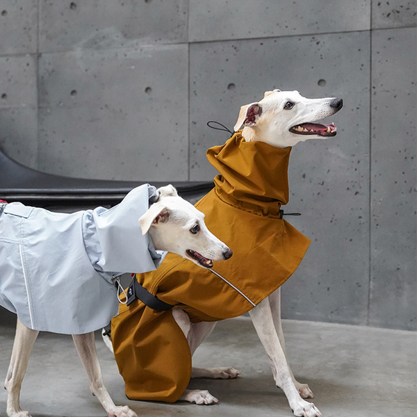 Dog Raincoat Outdoor Jacket Waterproof Detachable Italian greyhound Whippet Dachshund Fit